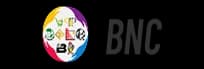 BNC Construction